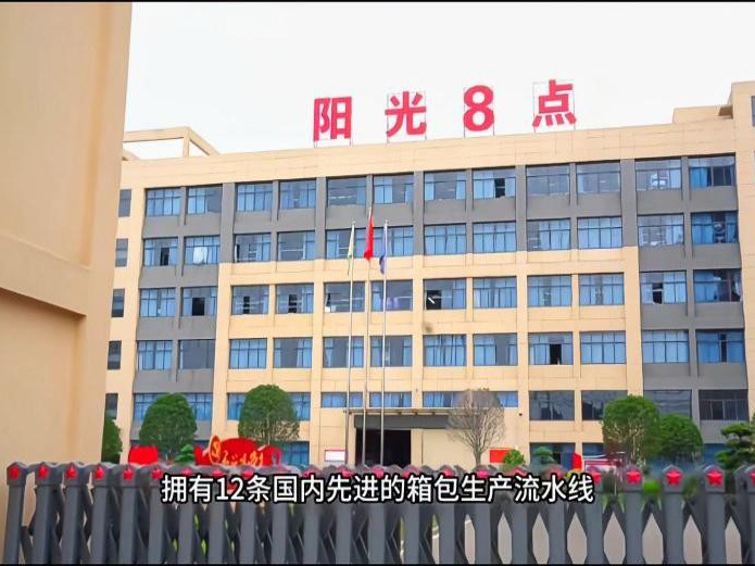 湖南陽(yáng)光箱包有限公司