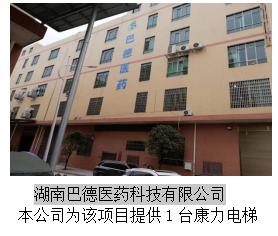 湖南力民電梯有限公司,邵陽(yáng)電梯銷售,邵陽(yáng)電梯安裝,湖南電梯維修,自動(dòng)扶梯,自動(dòng)人行梯